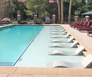 Resort-Style Lap Pool With New Plaster Finish, Lounge Chairs, And Palm Trees